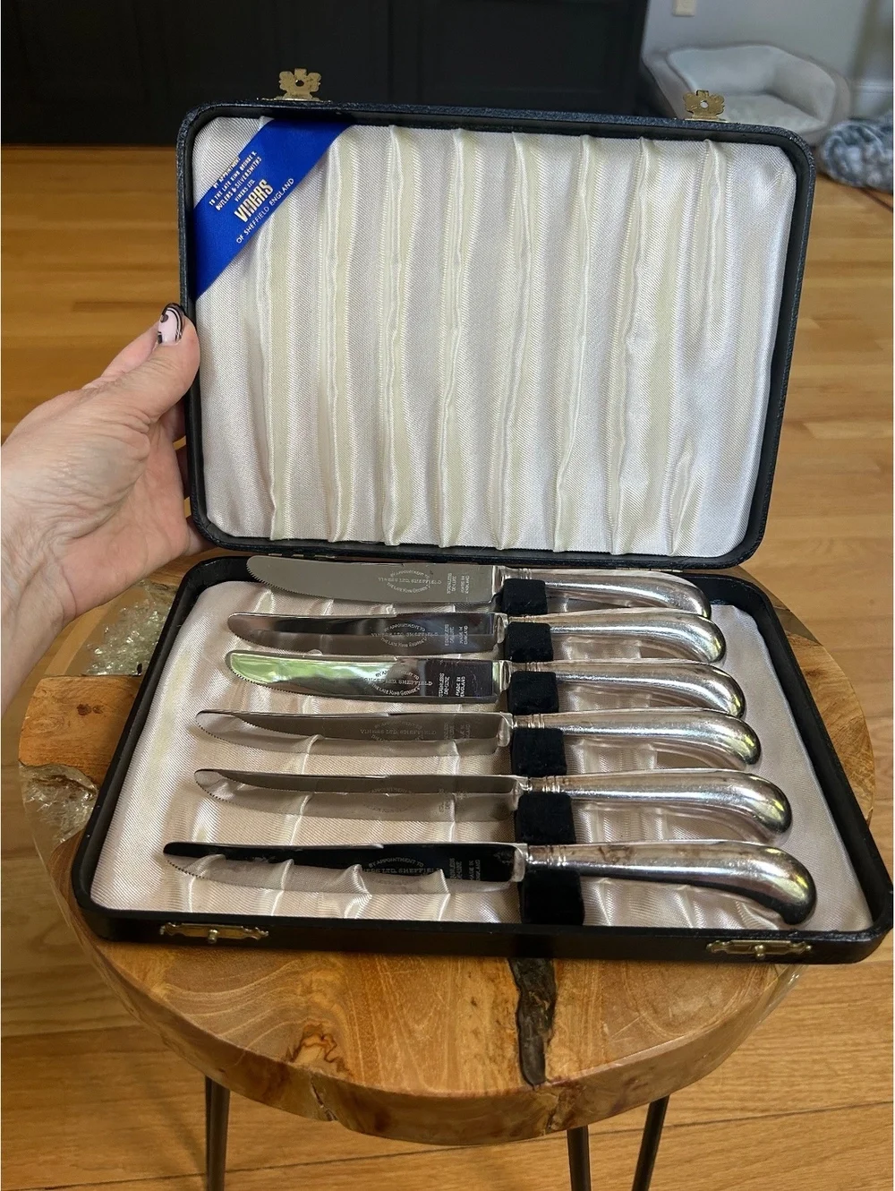 Vintage Viners of Sheffield England Stainless Steel Knives Set with Case